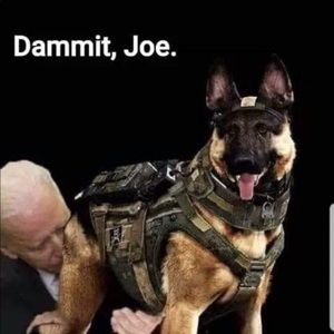 Meet your Posher, George